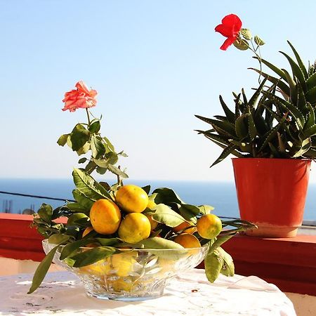 Alvanita Apartments Ulcinj Buitenkant foto