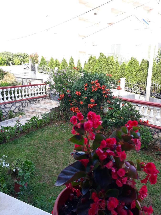 Alvanita Apartments Ulcinj Buitenkant foto
