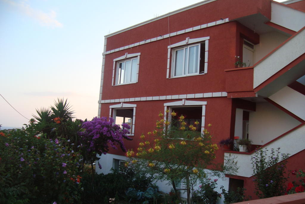 Alvanita Apartments Ulcinj Buitenkant foto
